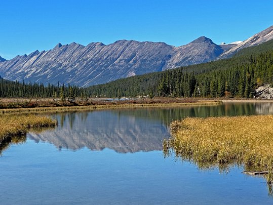 Athabasca Pass - Parc National de Jasper Alberta - Canada